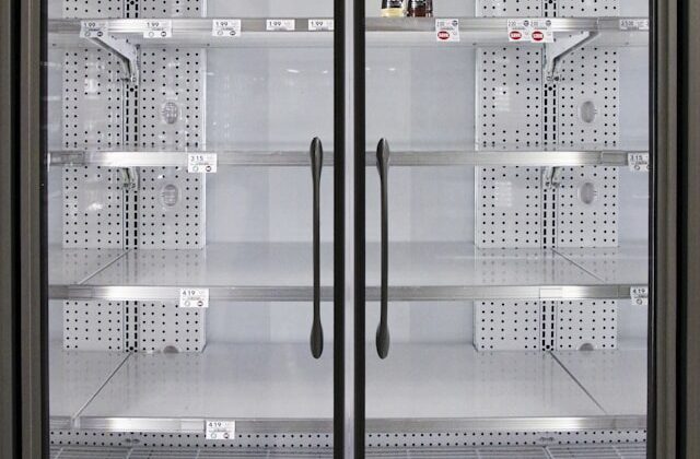 True T-49 Reach-In Refrigerator — 2 Door