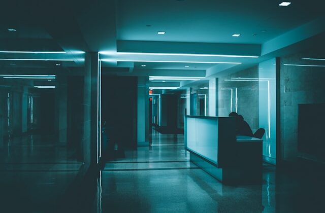 2019 Ford Transit Connect XLT